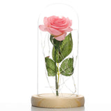 Glass Shade Rose Lamp