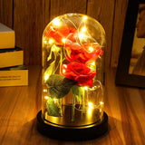 LED Night Light Immortal Flower Rose Decoration