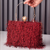 Tassel Handbags Women Dress Party Evening Bag Fashion Luxury Designer Square Bags Crossbody Shoulder Bag Ladies