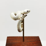 925 Sterling Silver Plated Rattlesnake Trendy Special-interest Design Retro Ins Niche Classic Ring